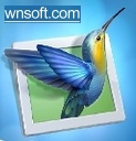 Winsoft-Logo