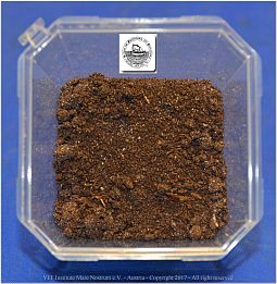 DSF_0904-Chestnut-potting-soil