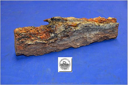 DSF_0937-Spruce-bark+resin