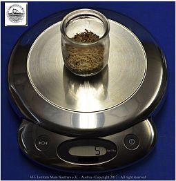 DSF_0962-Weighing-01