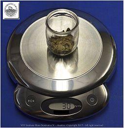 DSF_0962-Weighing-03