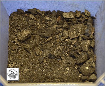 DSF_1008-Potting-soil+Volcanic-Ash