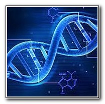 Par-06-DNA