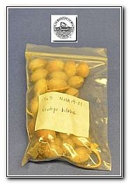 HJ-Seeds-3