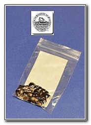 HJ-Seeds-4